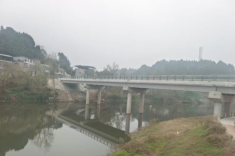 施家镇王家桥。简阳市融媒体中心供图