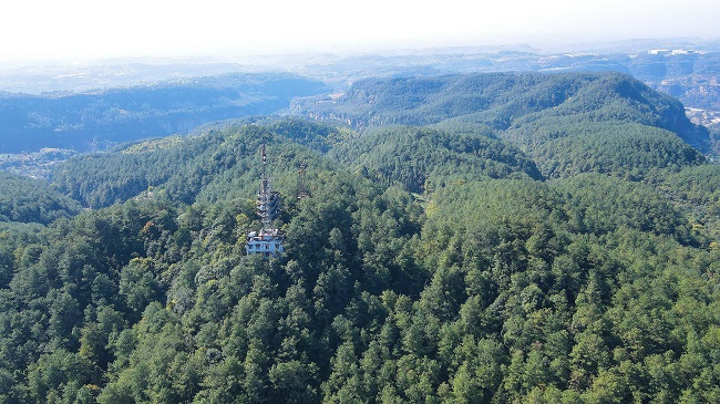 林区。章涵供图