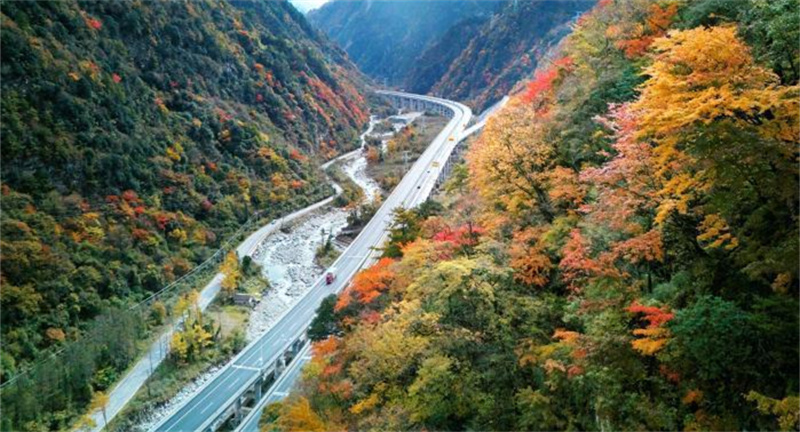 穿梭于彩林间的九绵高速。 农行四川省分行供图