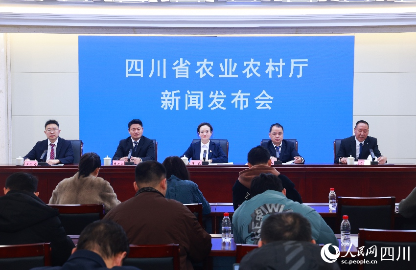 新闻发布会现场。人民网记者 朱虹摄