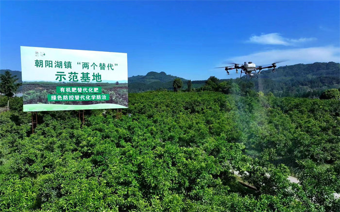 成都市蒲江县“两个替代”柑橘种植示范基地。蒲江县委宣传部供图