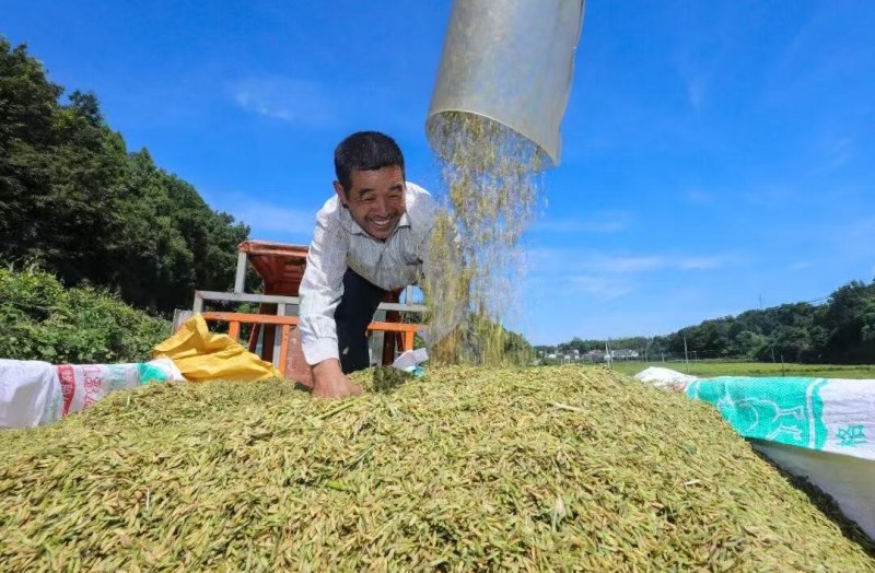 豐收的喜悅。簡陽市融媒體中心供圖