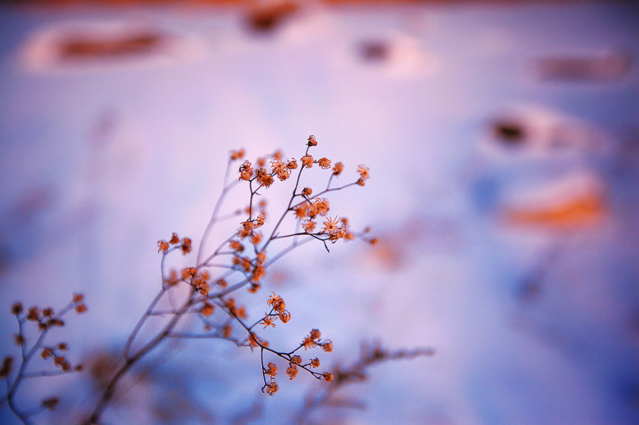 深刻认识用好用足我国经济发展优势1月11日，2024北京图书订货会在北京开幕。本届订货会以“坚定文化自信，铸就出版新辉煌”为主题，集中展示图书40余万种。