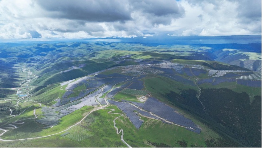 满眼绿色的光伏场区。李乐乐摄