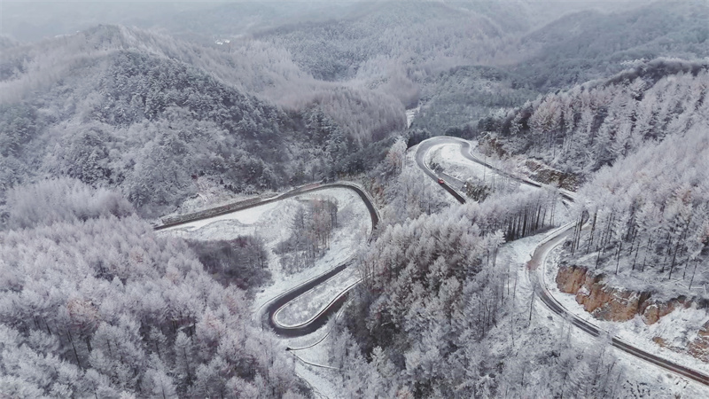 曾家山银装素裹。朝天区融媒体中心供图