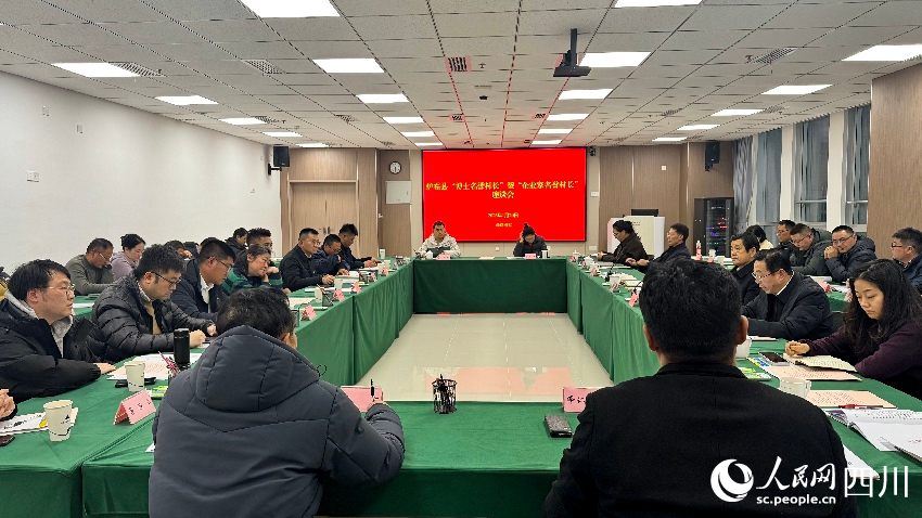 座谈会现场。人民网记者 朱虹摄