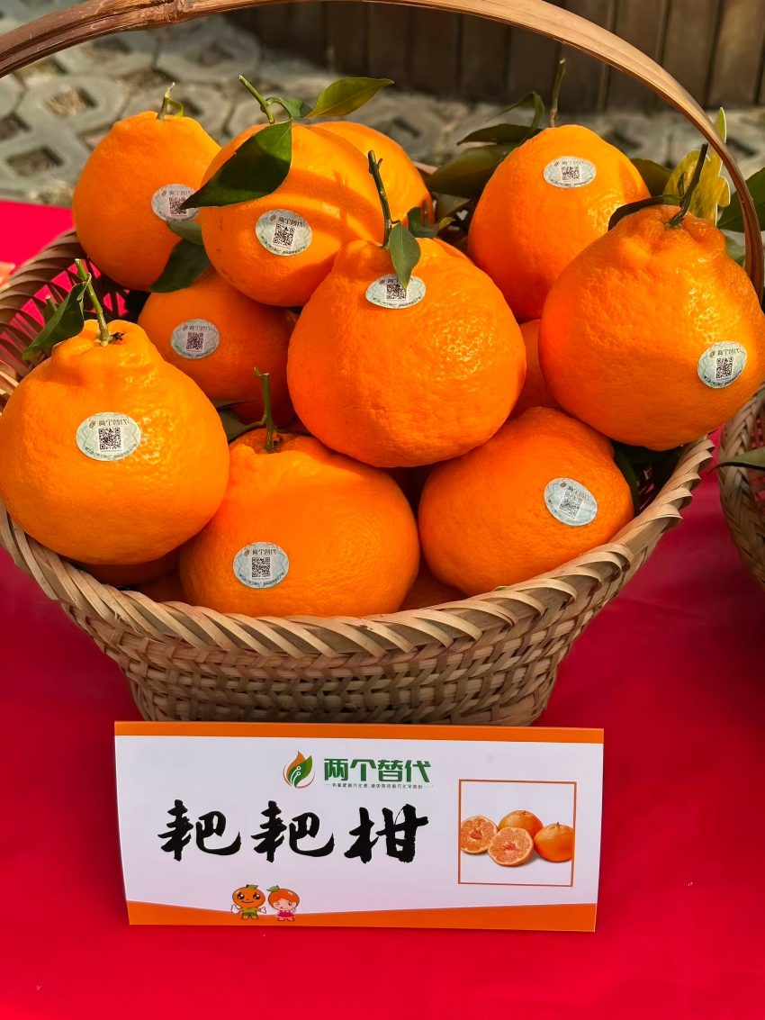 耙耙柑。成都蒲江县农业农村局供图