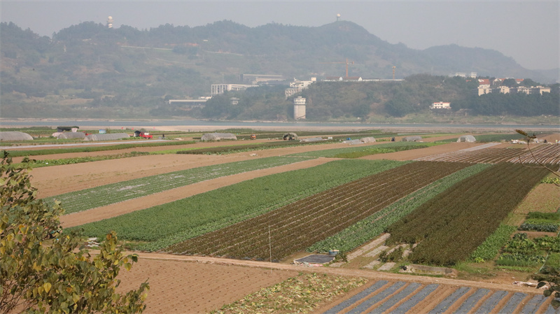 冬日乡村。秦旭摄