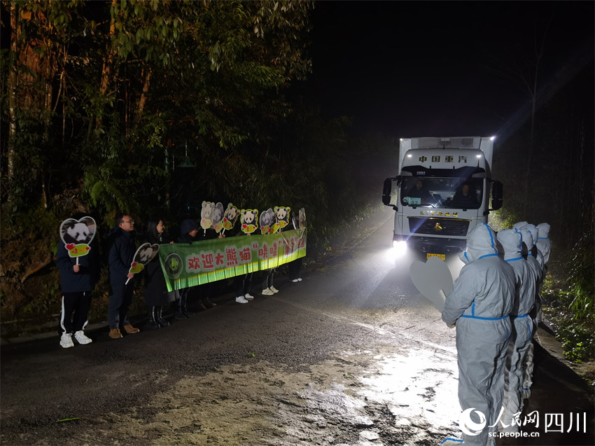旅日大熊猫“晓晓”“蕾蕾”抵达熊猫中心雅安基地。李传有摄