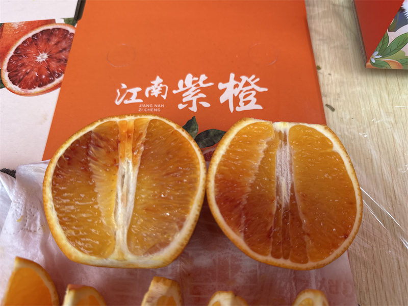 紫橙。单毅夫摄