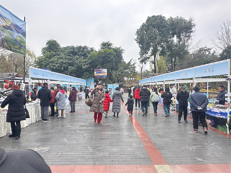 市民逛展区。主办方供图