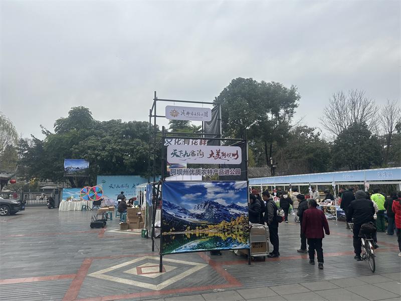展区现场。主办方供图