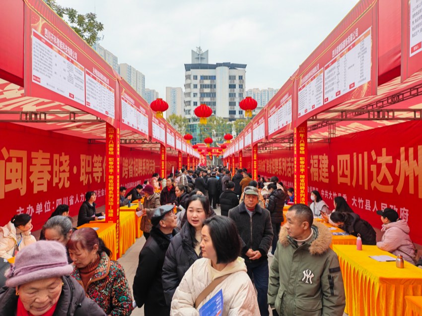 招聘活动现场。主办方供图