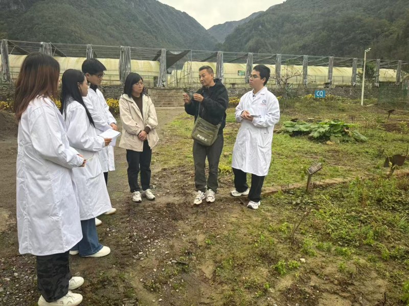 中醫專業師生在萬源花萼山萼貝立體種植基地教學實踐。達州職業技術學院供圖