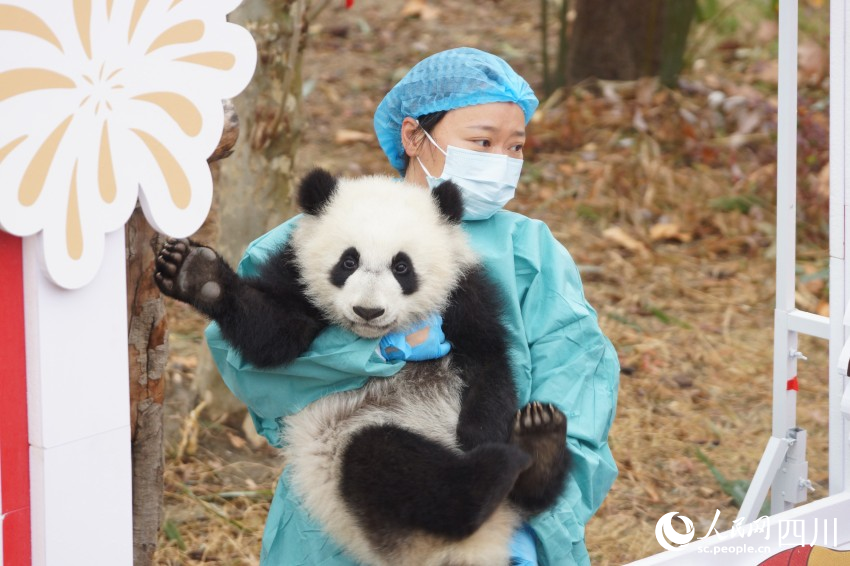 挥手打招呼。人民网 罗昱摄