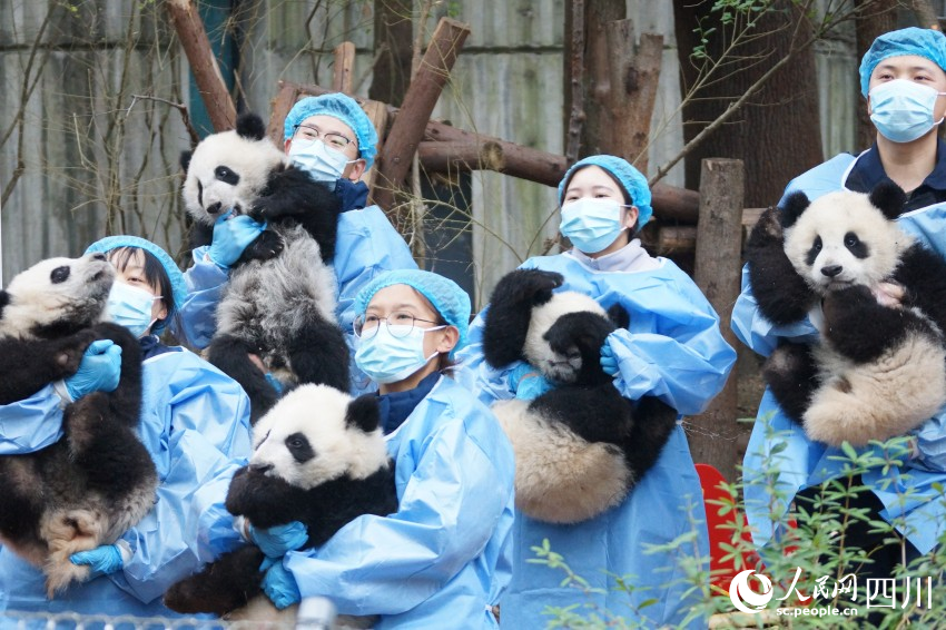 集齐“五福”，拜个早年！人民网 罗昱摄