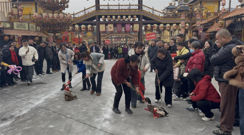 趕鴨趣味賽。朱斗峰供圖