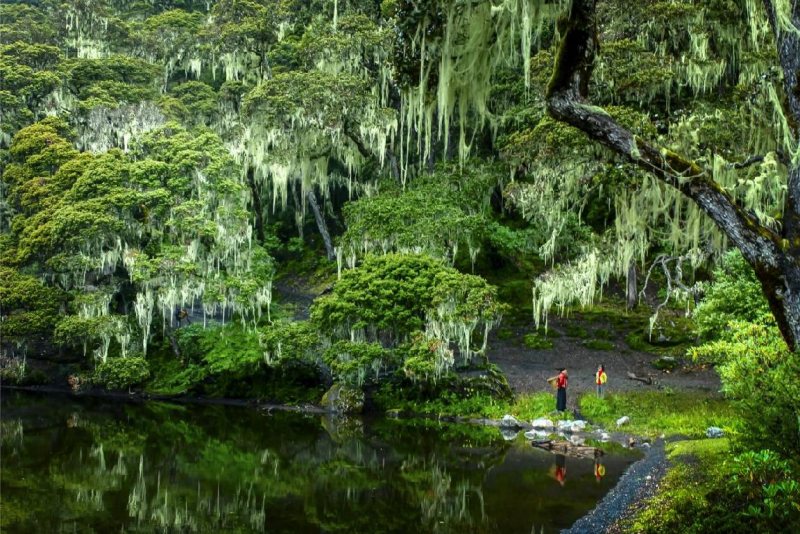 九龙伍须海景区风光。甘孜州文化广播电视和旅游局供图 