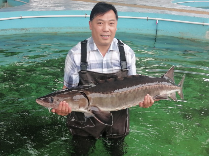 周亮怀抱长江鲟。周亮供图