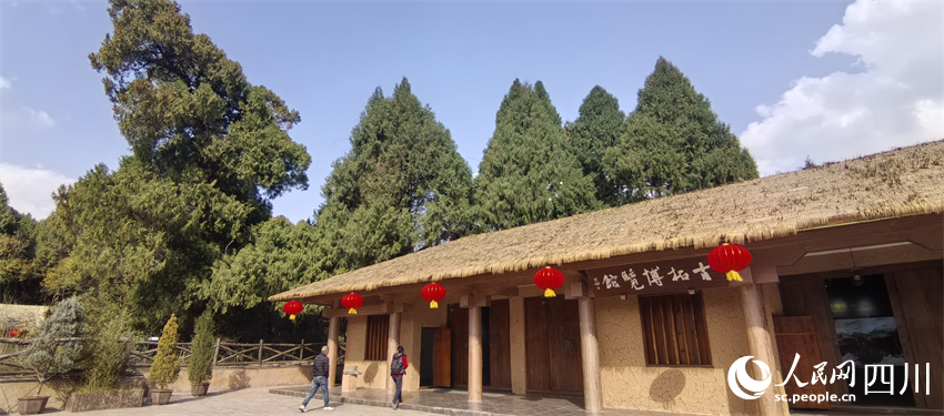 游客在古柏博览馆参观。人民网记者 刘海天摄
