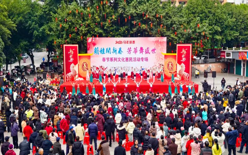 新春文化活动。宣汉县委宣传部供图