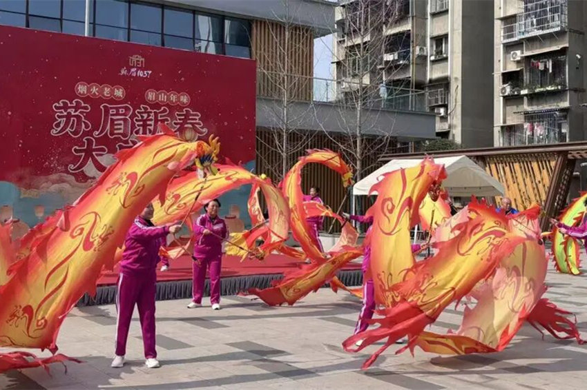 活动现场。主办方供图