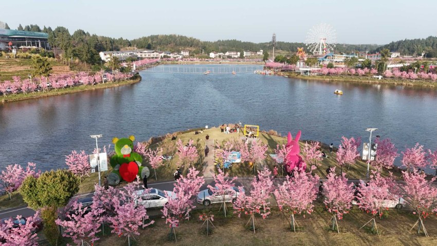 樱花步道网红打卡点。杨代忠摄