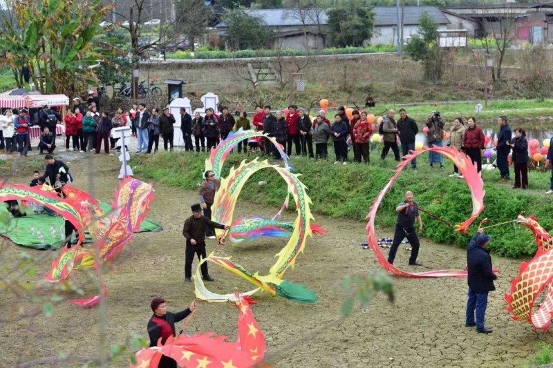 活動現場。陳玥供圖