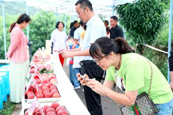 水蜜桃展销。龙泉驿区农业农村局供图