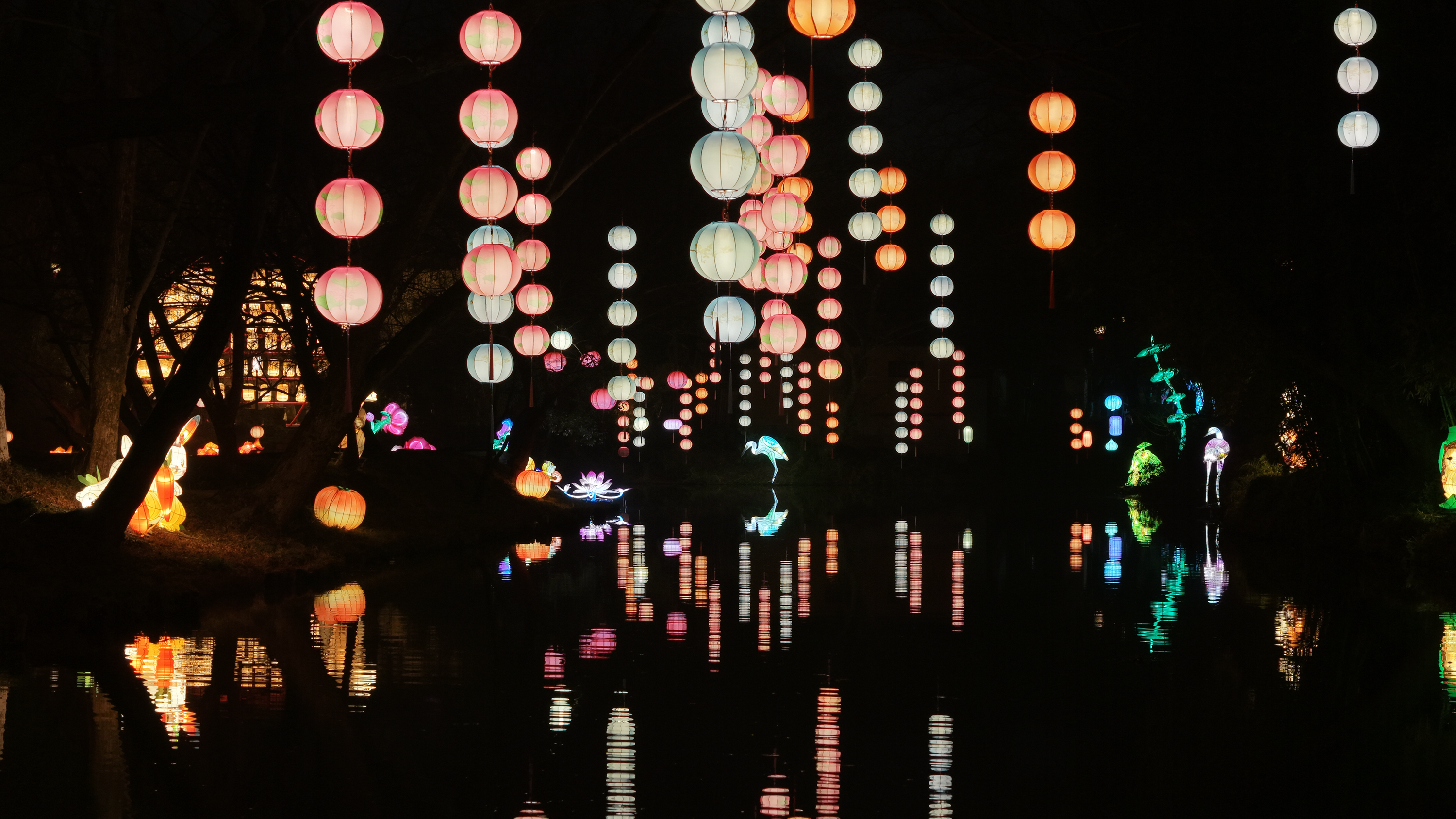 西溪濕地燈會北冥有魚燈組。受訪者供圖