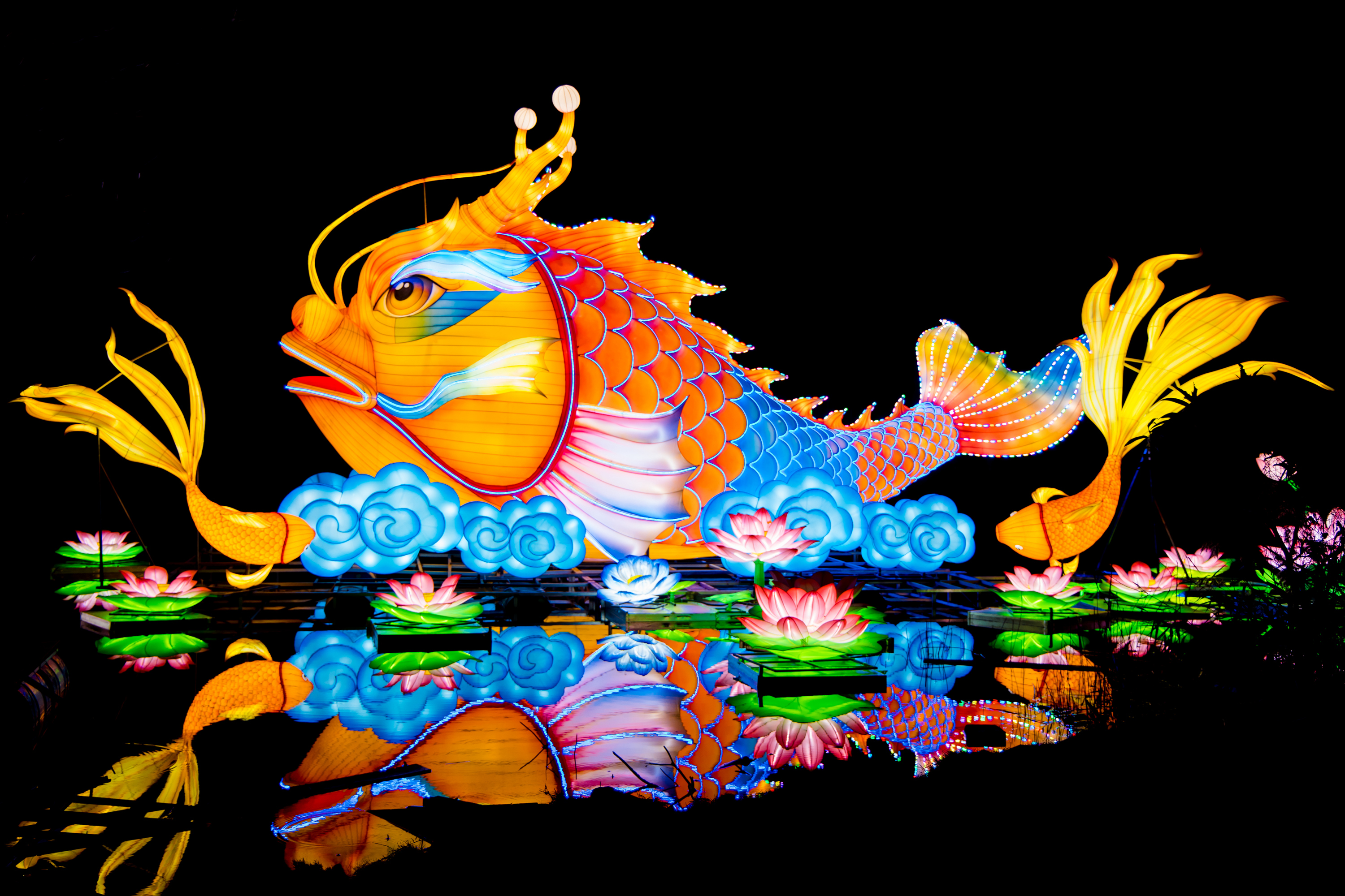 2026年粵港澳大灣區燈會現場，鰲魚凌雲燈組通過動態結構、光影特效與水境融合，傳遞“鰲魚出海，福澤四方”的吉祥祝福。受訪者供圖