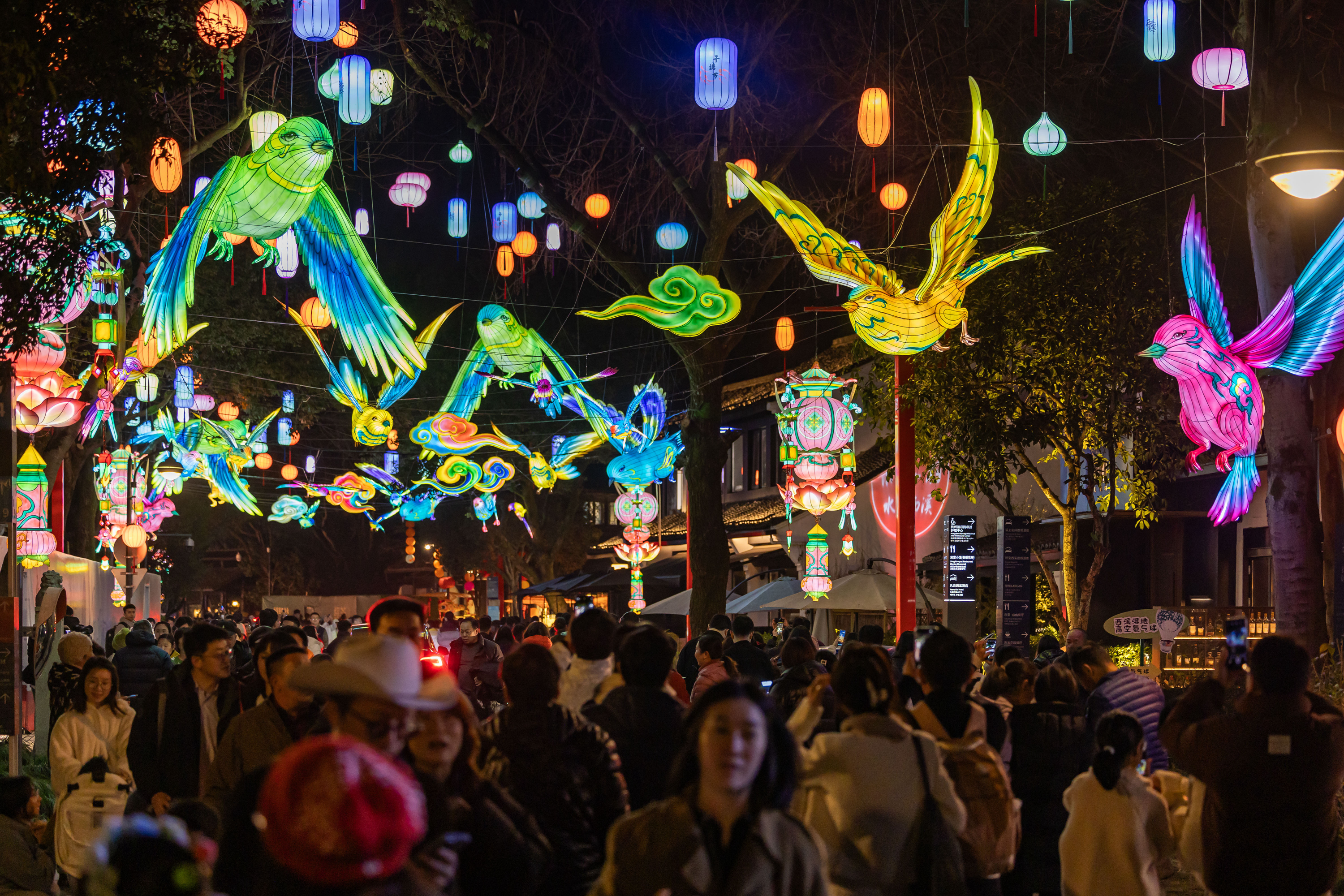 西溪濕地燈會游人如織。受訪者供圖