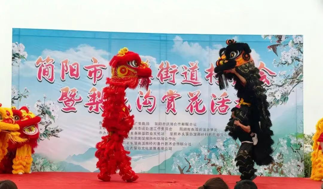 赏花活动现场。简阳市融媒体中心供图