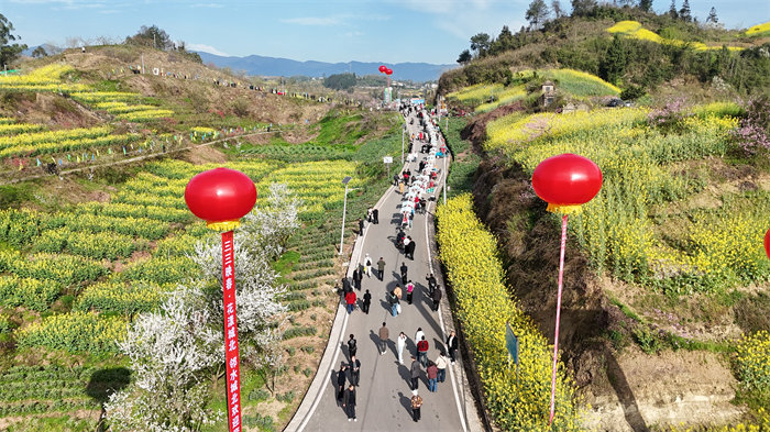 热闹的乡间小路。曾涛供图