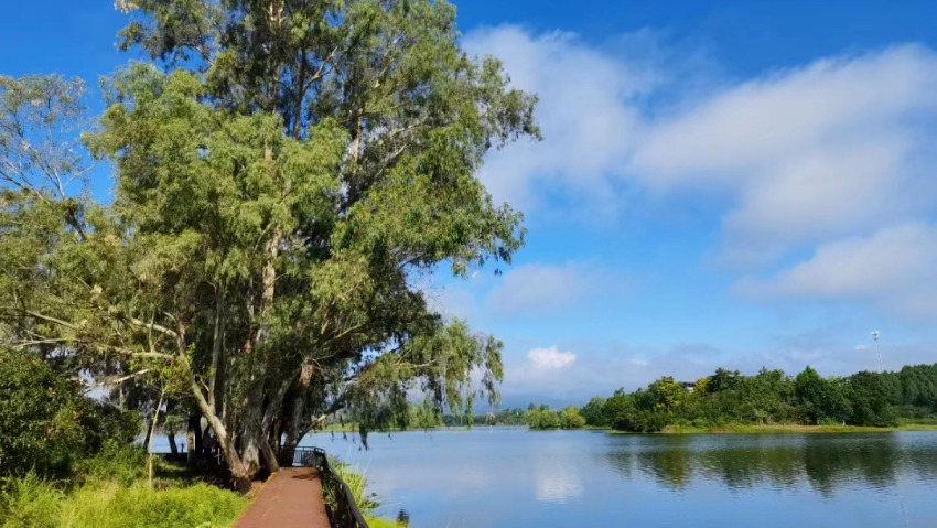 三岔湖水生态优美。东部新区河长办供图