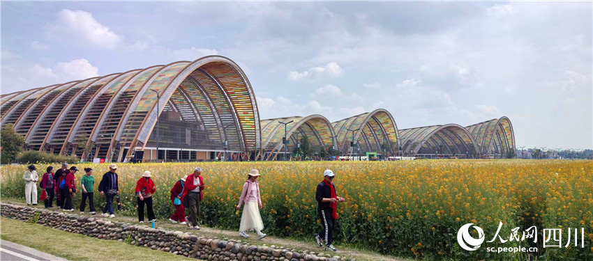 游客在花田旁排隊走過。人民網記者 劉海天攝
