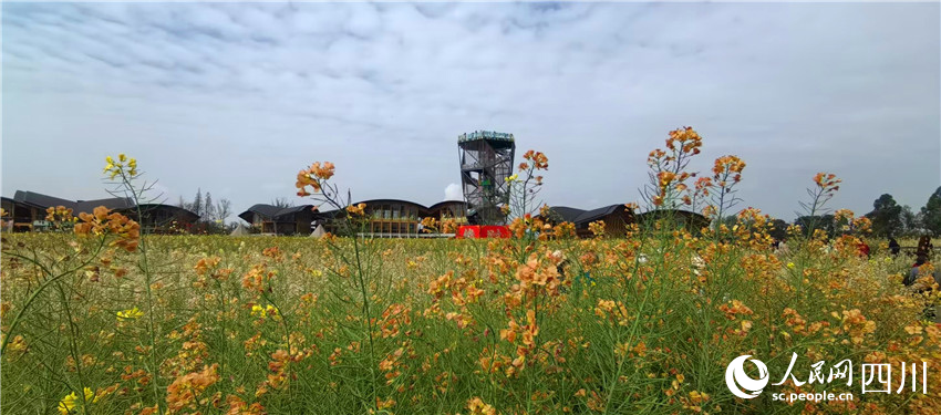 彩色花開美農博。人民網記者 劉海天攝
