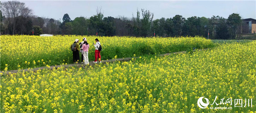 人在花中觀風景，卻成風景畫中人。人民網記者 劉海天攝