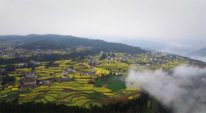 昭化鄉村一角。朱映江攝