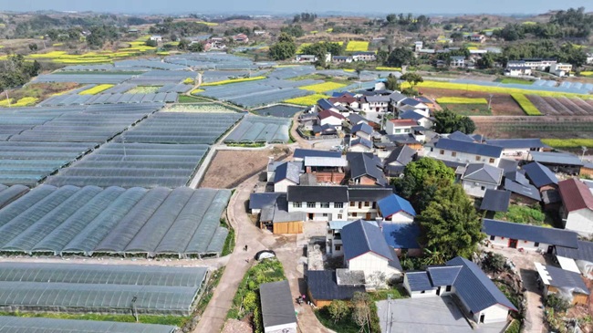 鼎新鎮。徐振宇供圖