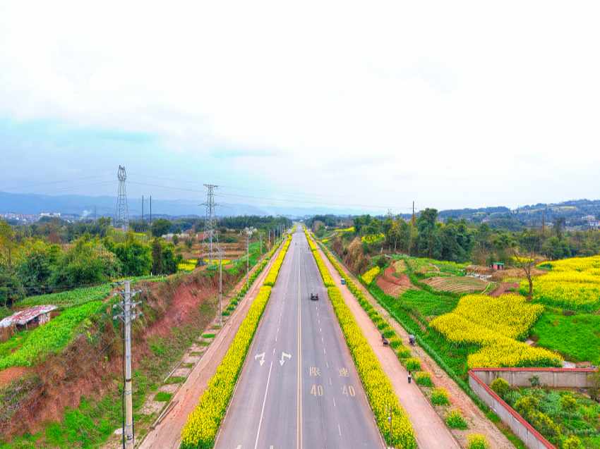 达州市大竹县东柳街道。姚闯摄