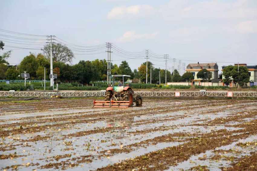 “铁牛”轰鸣声中，泥土翻卷起伏，一幅生机勃勃的“春耕画卷”正徐徐铺展。马诗雨摄