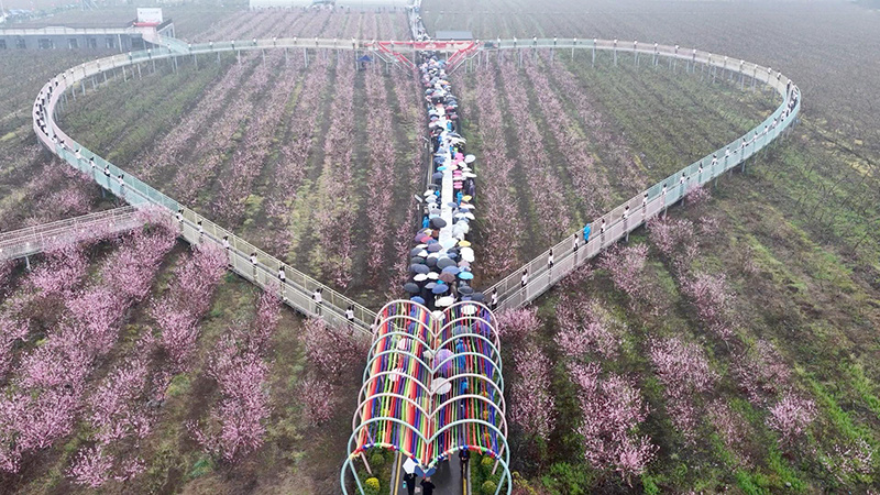 会场现场。绵竹市融媒体中心供图