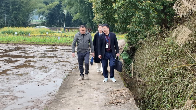 敘州區紀委監委工作人員到田間地頭走訪。敘州區融媒體中心供圖