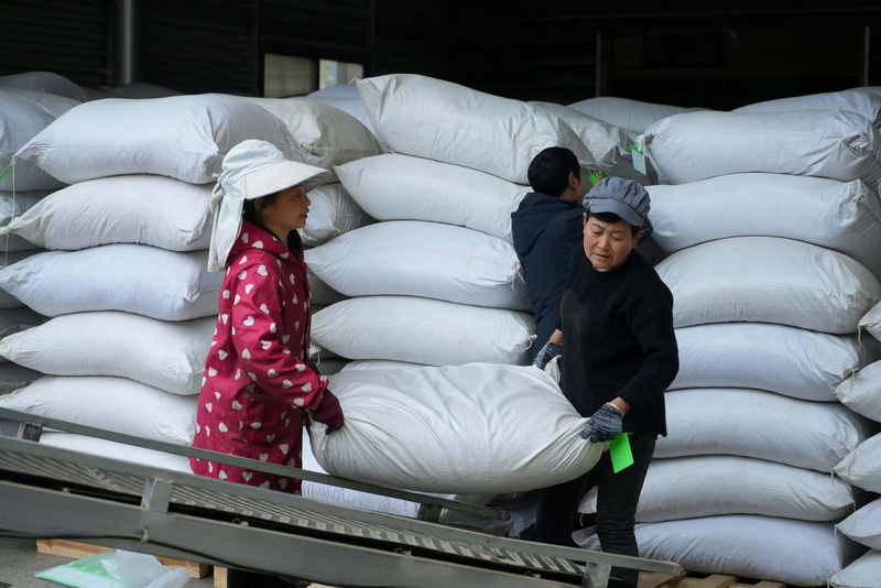 装车现场。四川巴山青农业科技有限公司供图