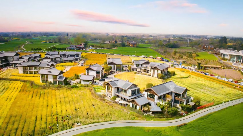 俯瞰蝴蝶村。主辦方供圖