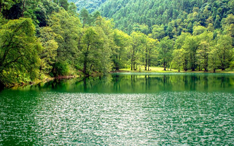 幽静黑龙潭。德昌县委宣传部供图