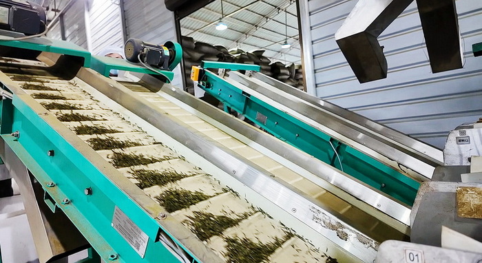 生產車間機器轟鳴。白欽文攝