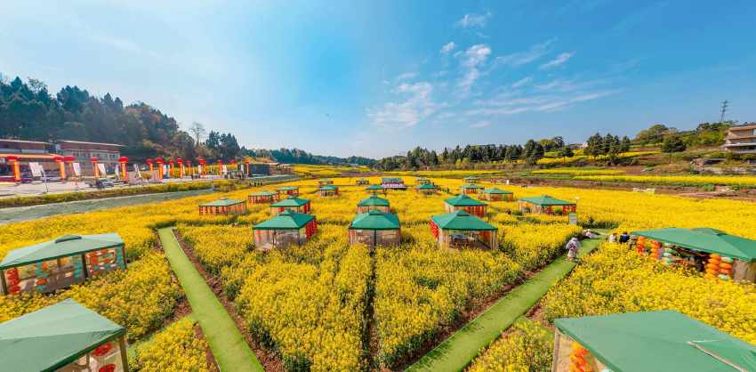 乐至县“帅府粮仓”第二届“把春天煮进火锅里”活动现场。张凤莉摄