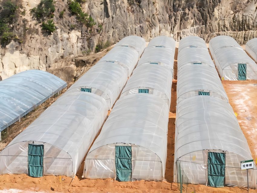 简易育苗棚门。米易县烟草专卖局(分公司)供图